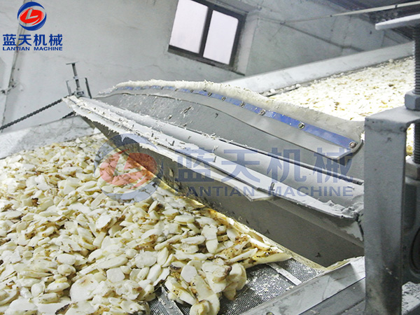 大型網帶式丝瓜视频在线看污機烘幹現場