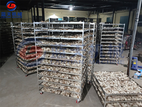 河北容城丝瓜视频在线看污機烘幹現場